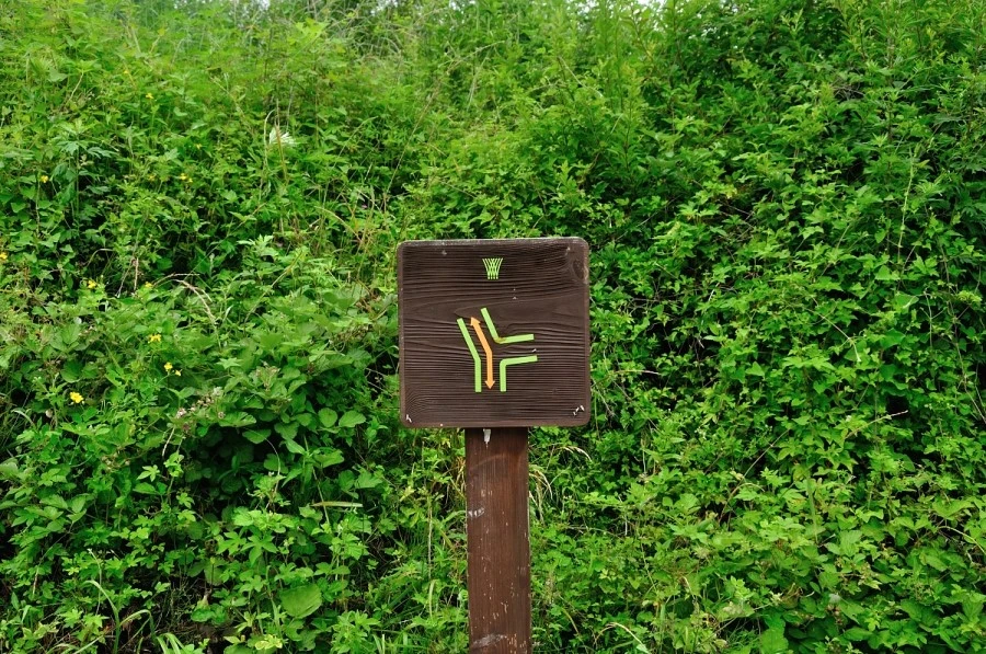 DSC_9677_9930.JPG?type=w1