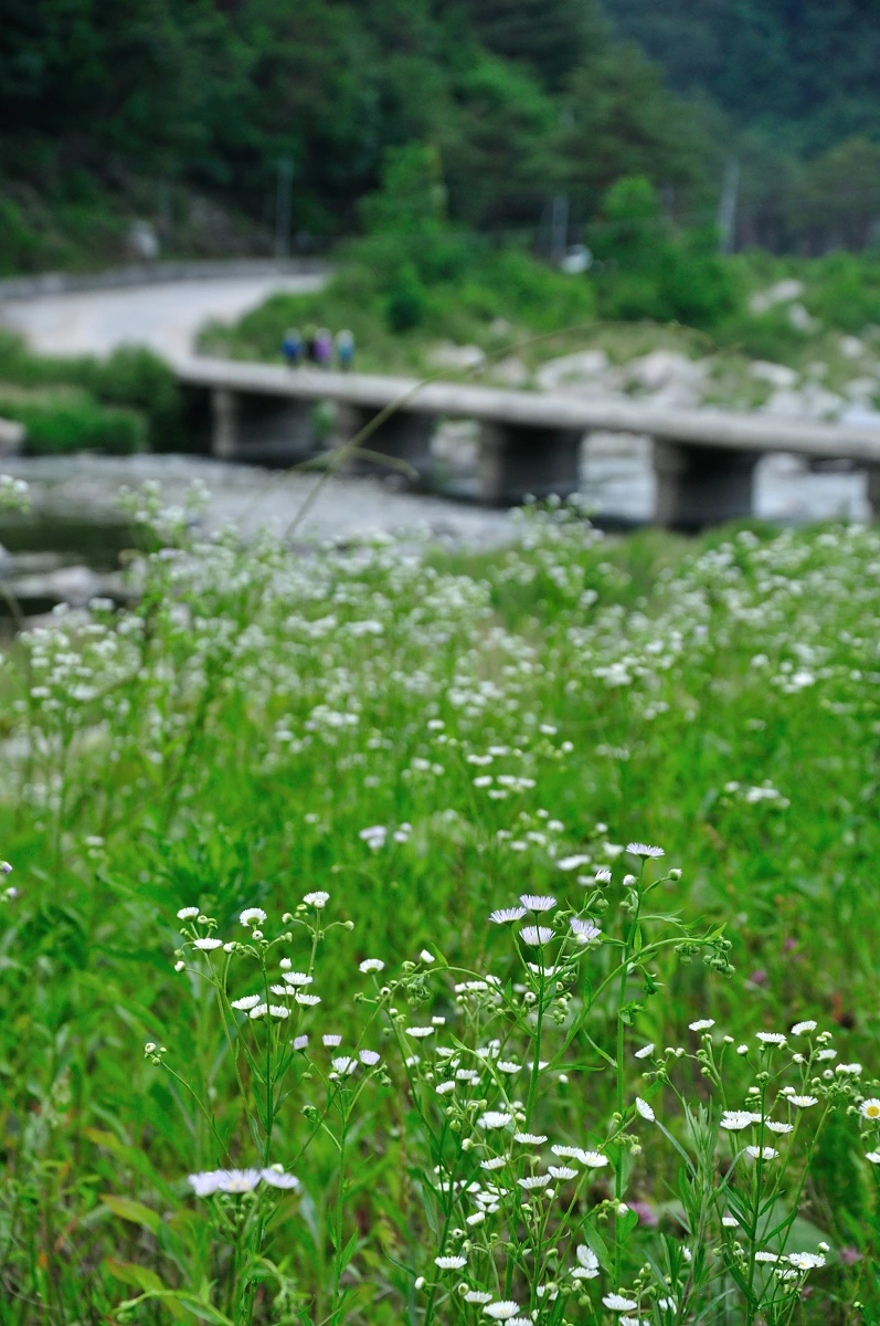 DSC_8854_9178.JPG?type=w1