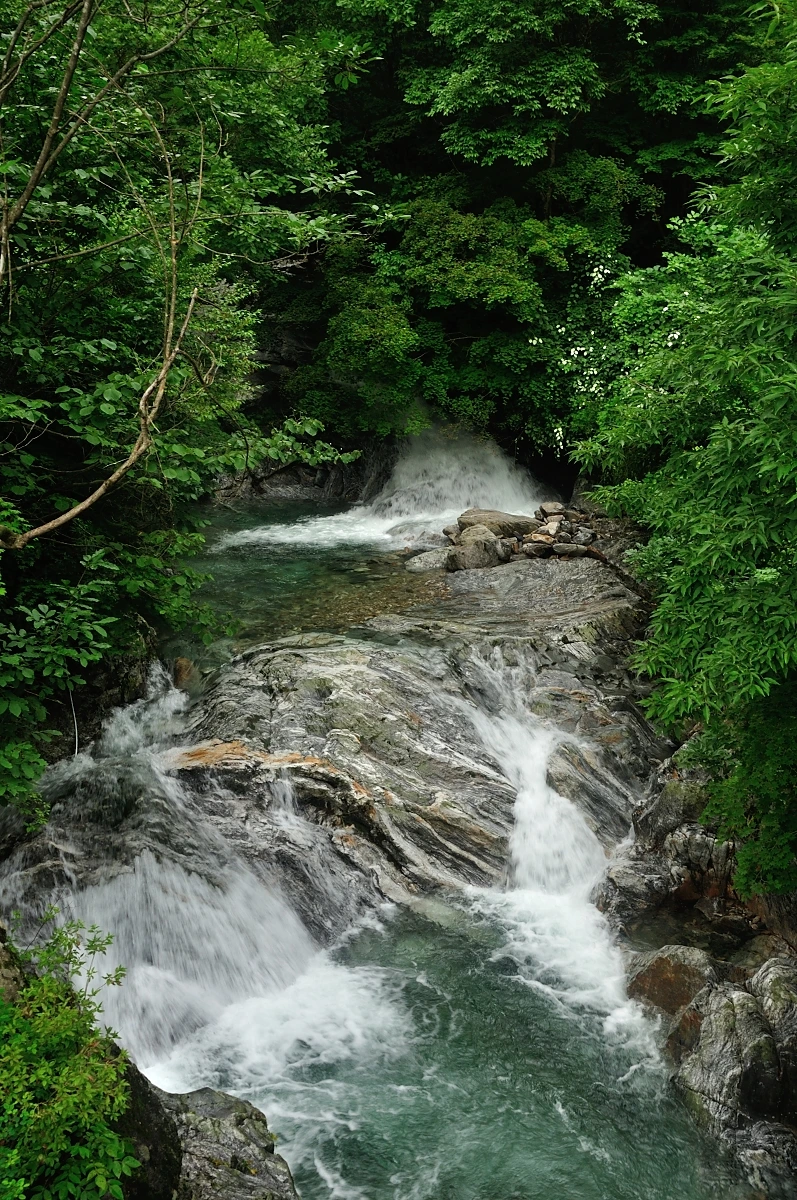 DSC_8308.JPG?type=w1