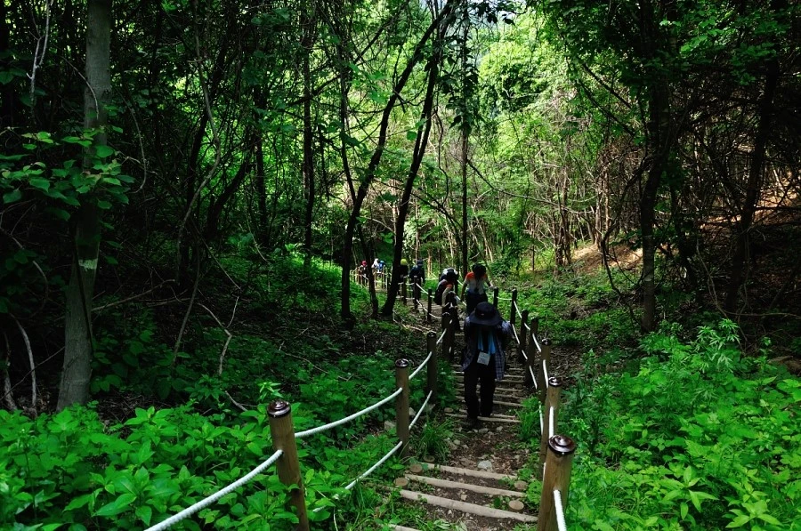 DSC_8762_9088.JPG?type=w1