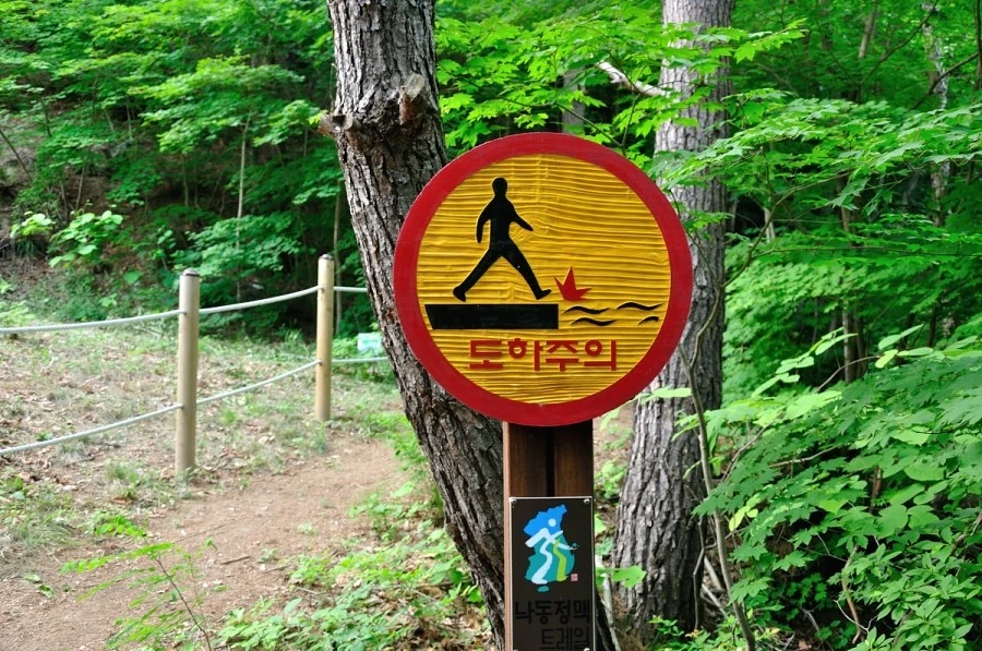 DSC_8802_9128.JPG?type=w1