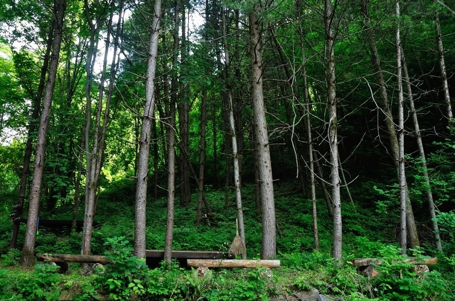 DSC_8746_9072.JPG?type=w1