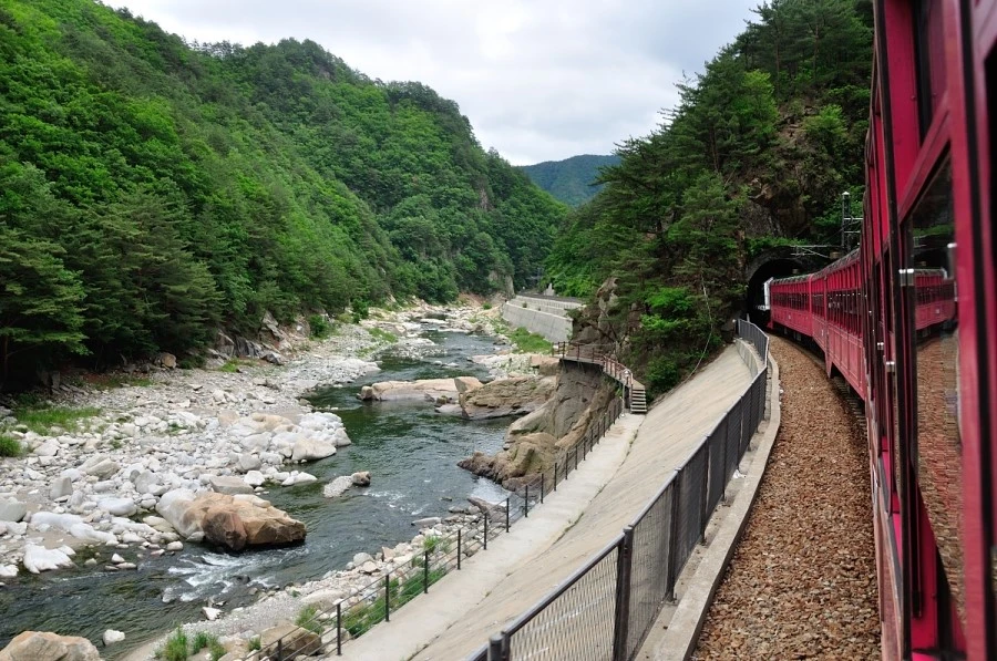 DSC_8629_8955.JPG?type=w1