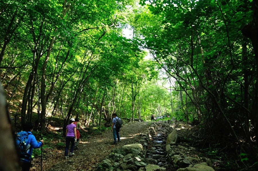 DSC_8751_9077.JPG?type=w1