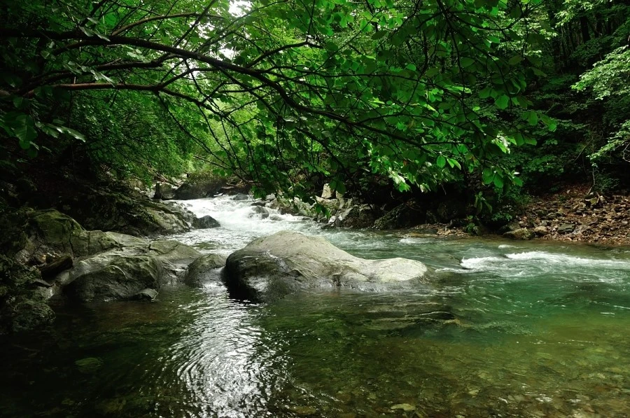 DSC_8238.JPG?type=w1