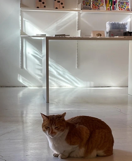 2022-02-05 14;54;00.PNG