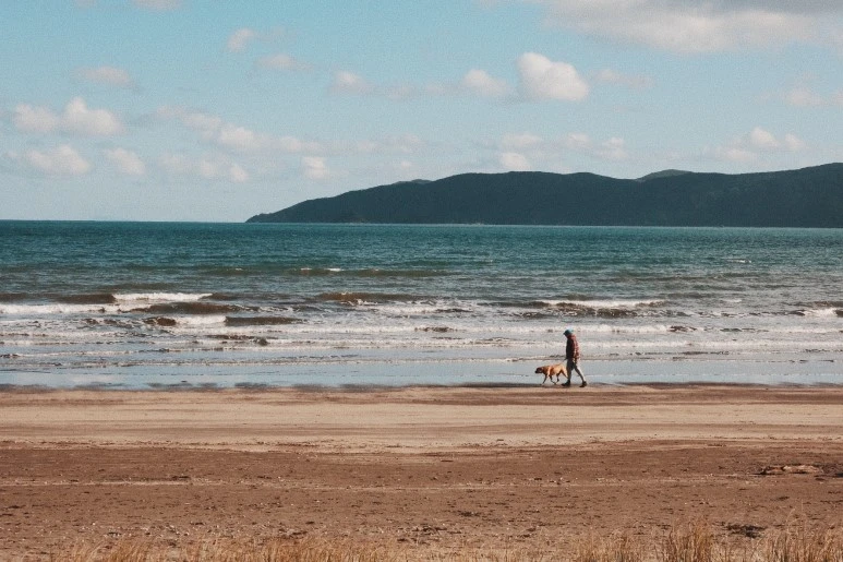 IMG_9219.JPG?type=w773