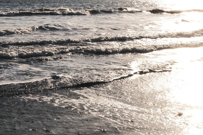 %EB%B0%94%EB%8B%A4.jpg?type=w773