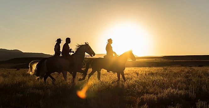 %B6%F3%BD%BA%C6%AE.jpg?type=w1