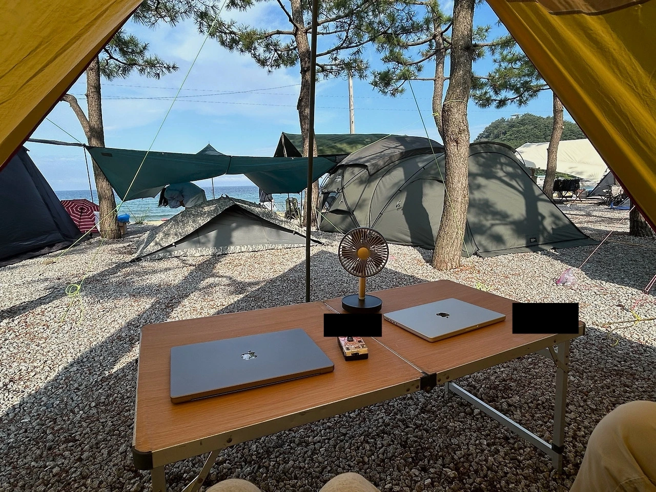 다운로드 (4).jpeg