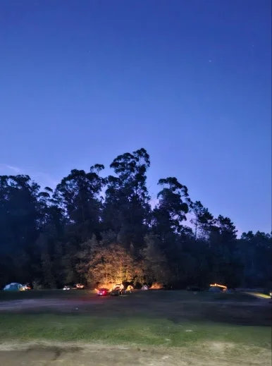 SE-464c51e5-d787-40dd-ada5-45528dba4574.jpg?type=w386