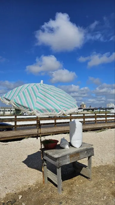 KakaoTalk_Photo_2024-07-02-12-39-25_004.jpeg?type=w386