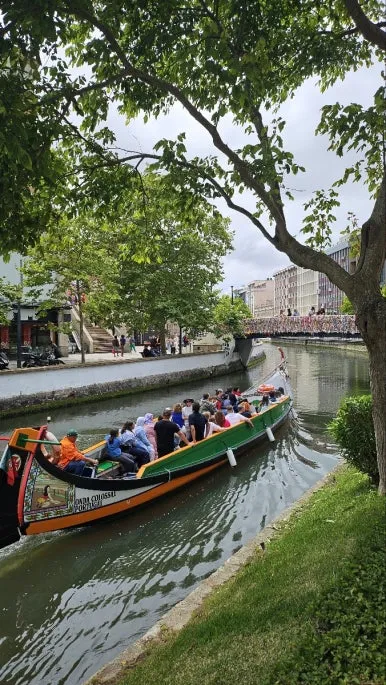 KakaoTalk_Photo_2024-07-02-12-39-20_001.jpeg?type=w386