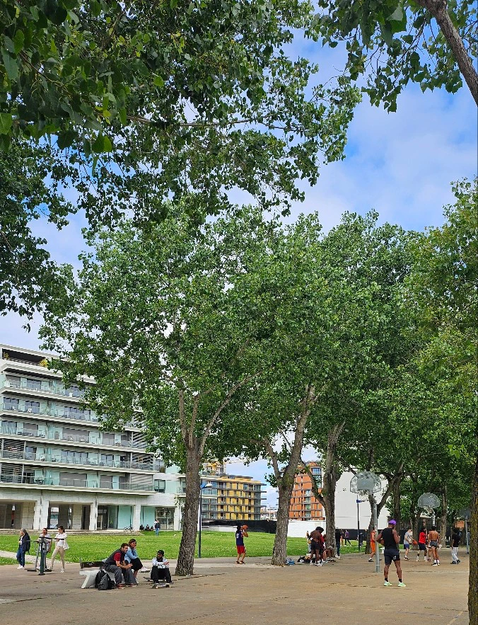 SE-cf18b161-493e-469a-b9f1-a0a858ed9b7e.jpg?type=w773