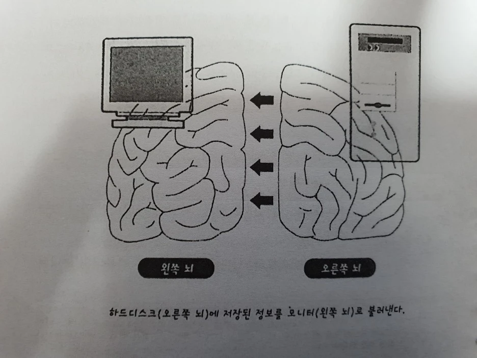 20210911_182119.jpg?type=w1