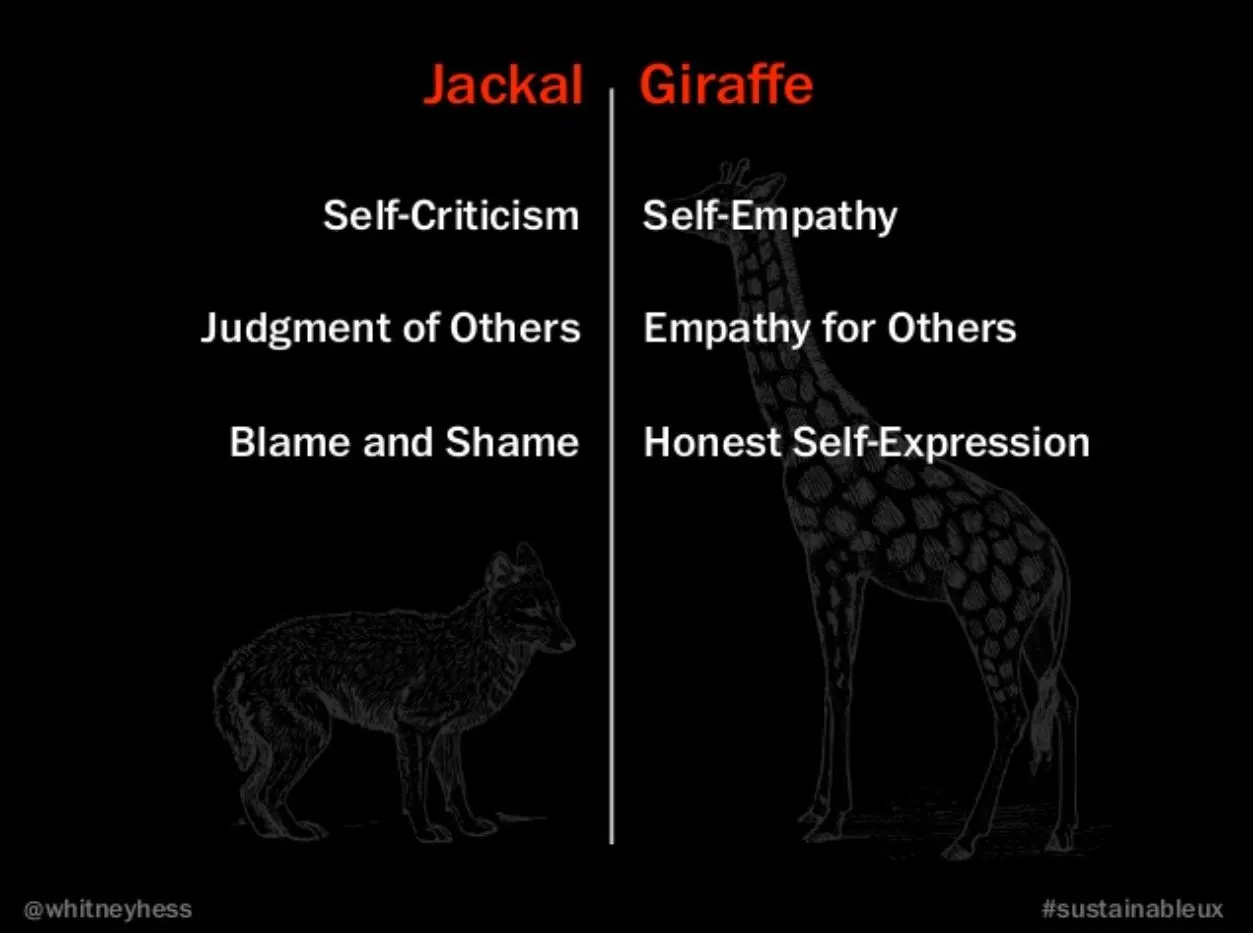 자칼과 기린의 언어.JPG