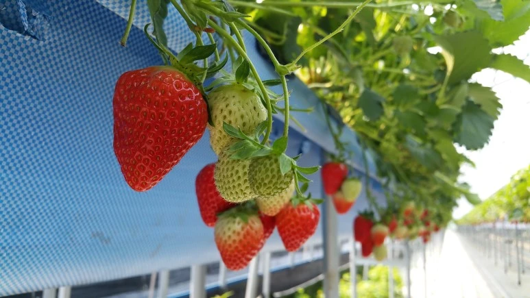 20160430_090730.jpg?type=w773