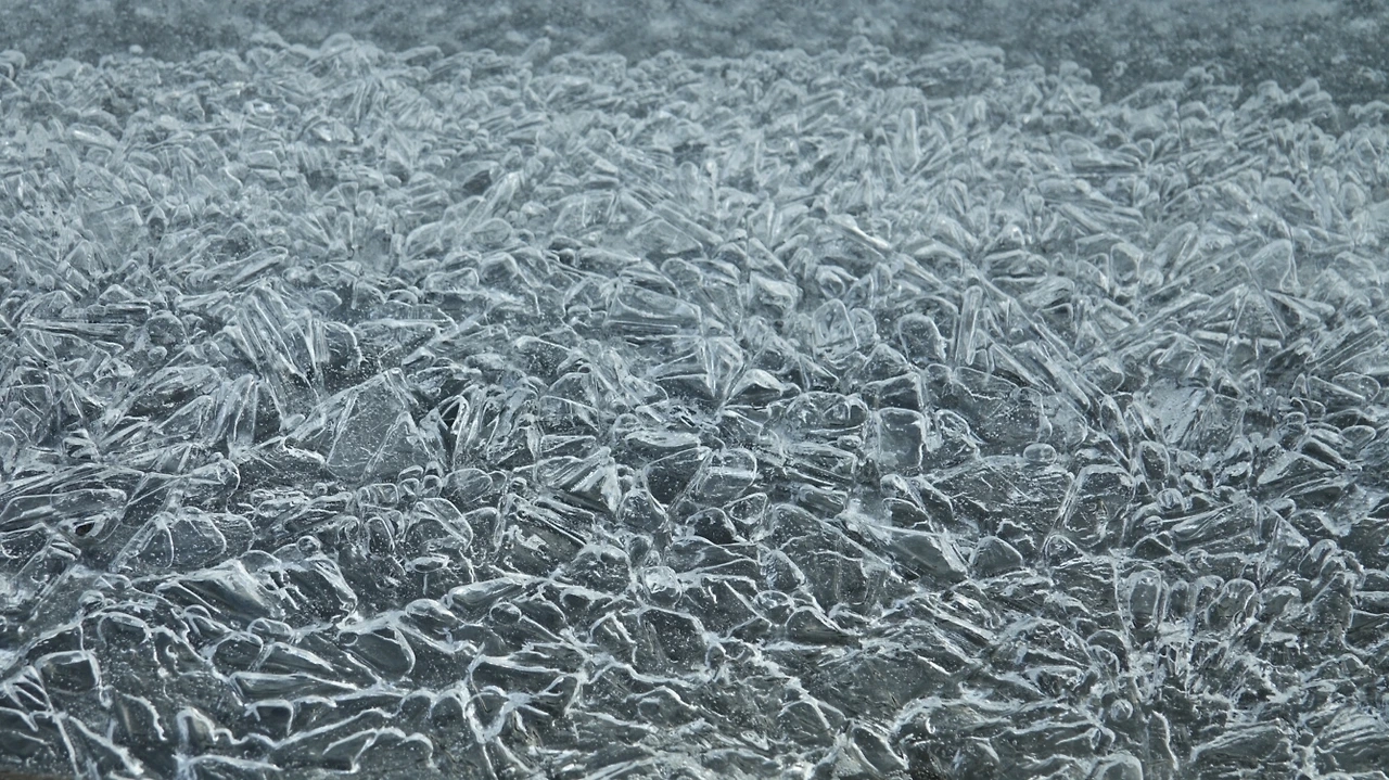 겨울의 무늬.jpeg