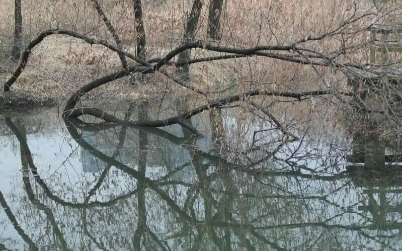 최남수 디카시 사진.jpeg