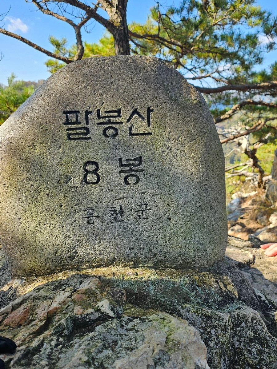 900%EF%BC%BF20251101%EF%BC%BF131237.jpg?type=w1