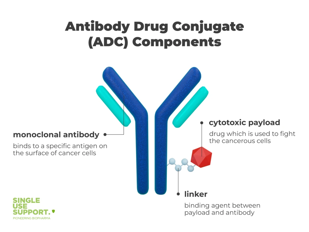 1473-antibody-drug-conjugate-adc-components.png?v=1-0