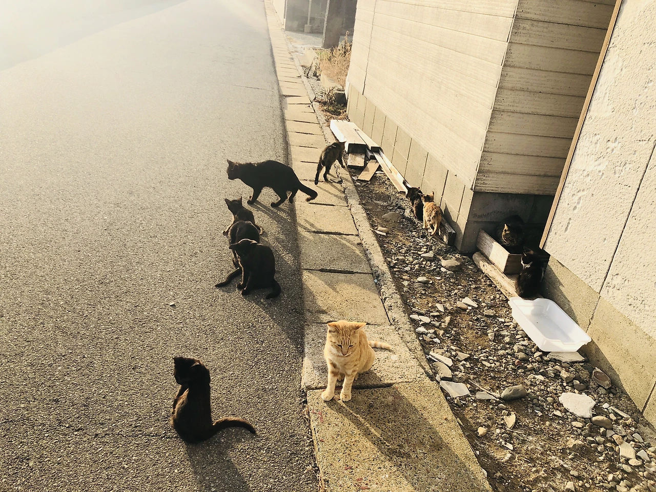 IMG_0128 (편집됨).JPG