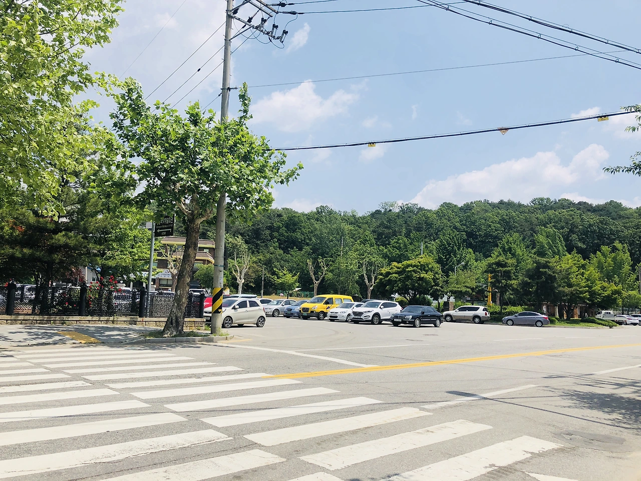 IMG_6133 (편집됨).JPG