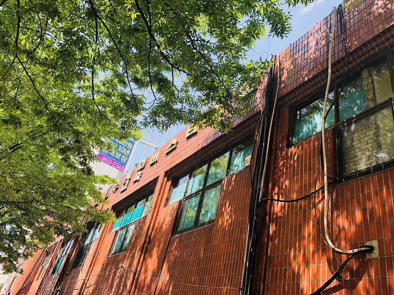 IMG_6303 (편집됨).JPG