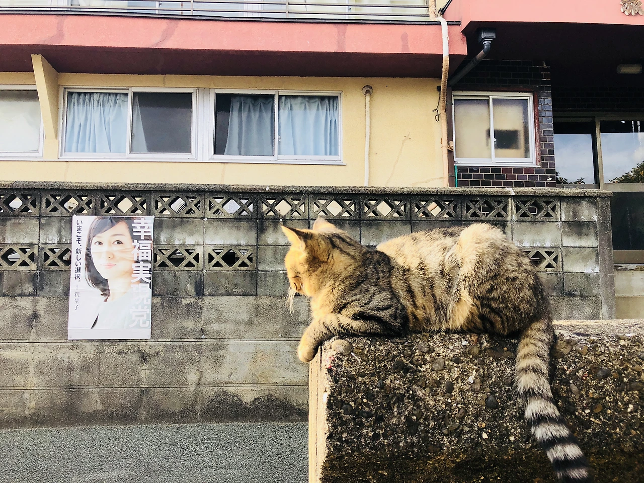 IMG_9988 (편집됨).JPG