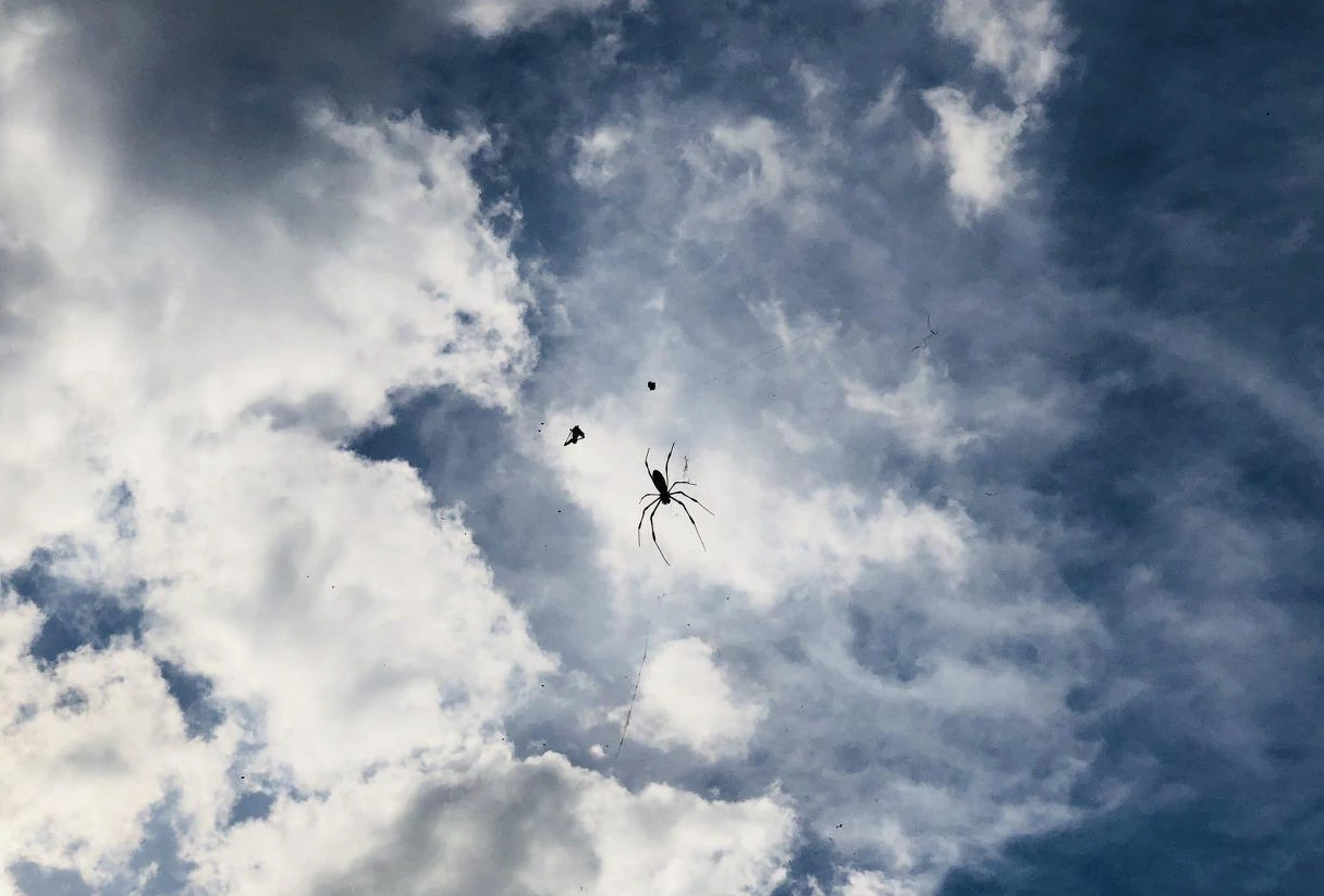 IMG_0026 (편집됨).JPG