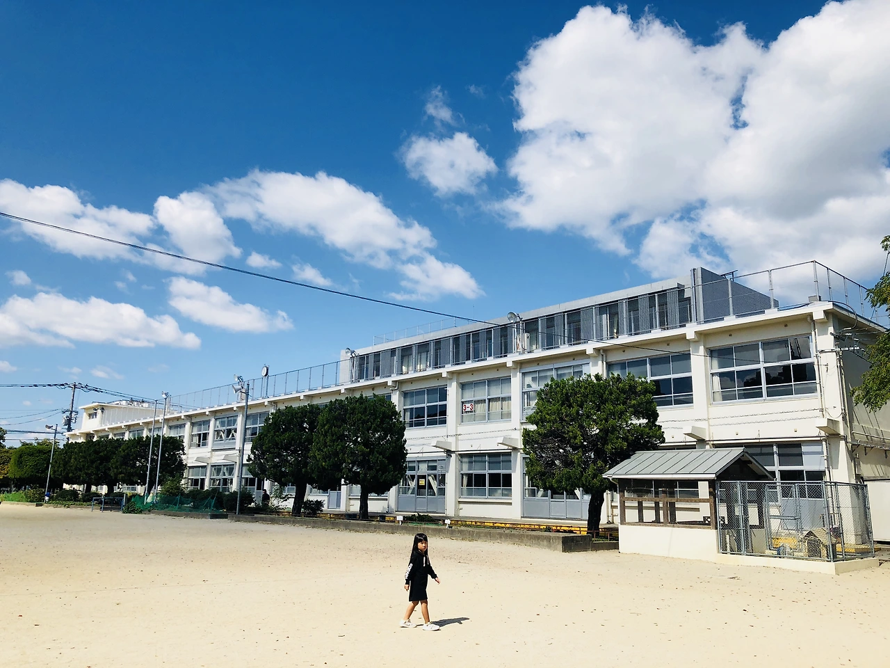 IMG_0297 (편집됨).JPG