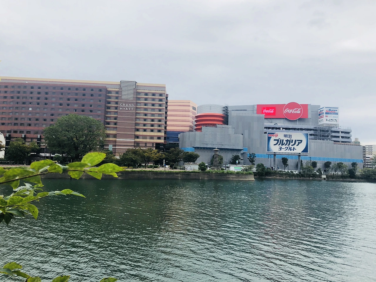 IMG_9628 (편집됨).JPG