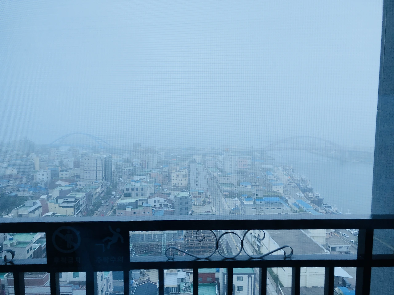 IMG_5967 (편집됨).JPG