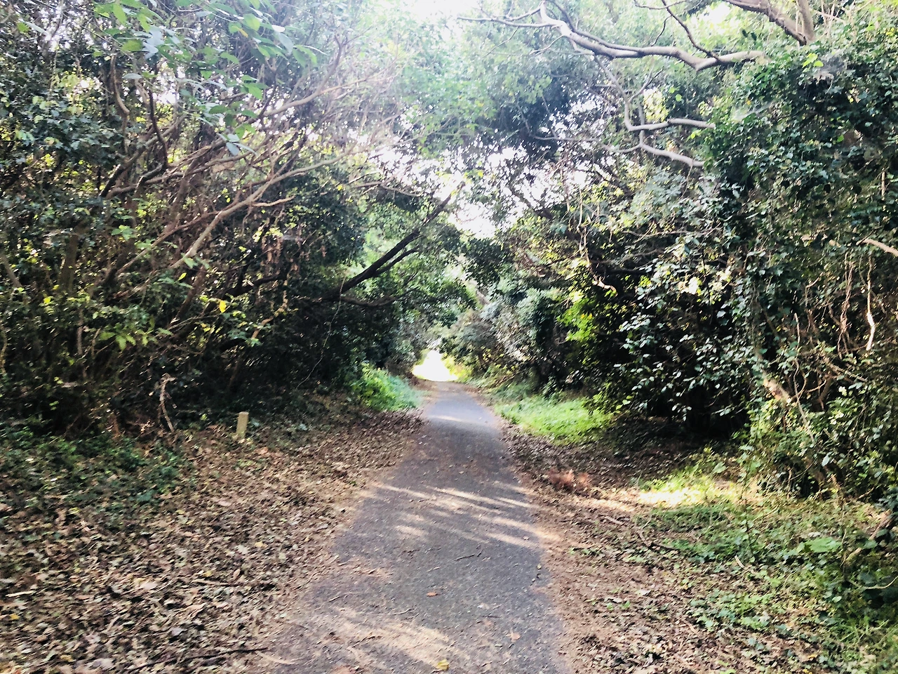 IMG_0045 (편집됨).JPG