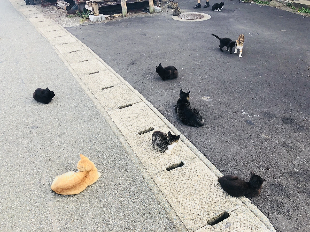 IMG_9938 (편집됨).JPG