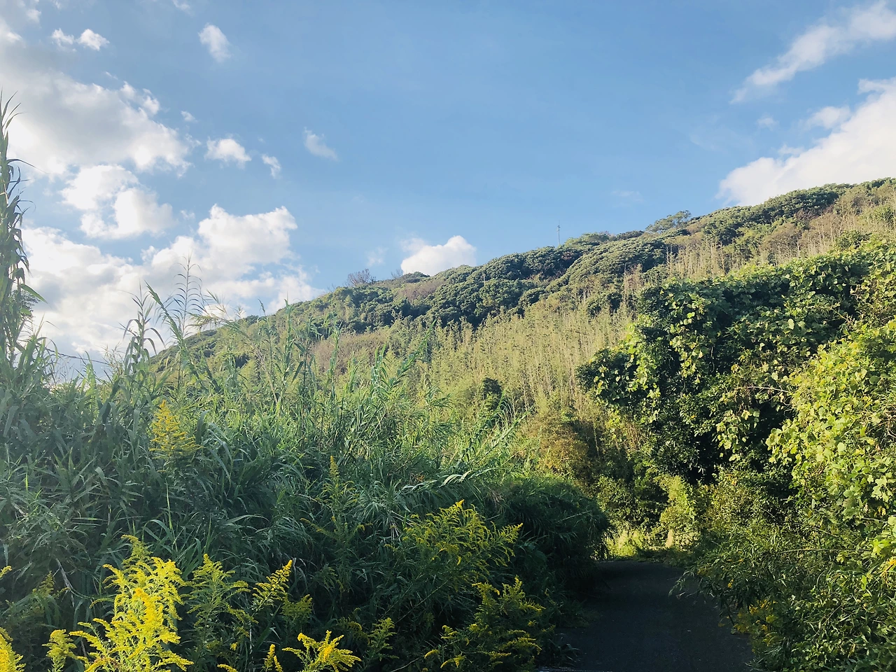 IMG_0067 (편집됨).JPG