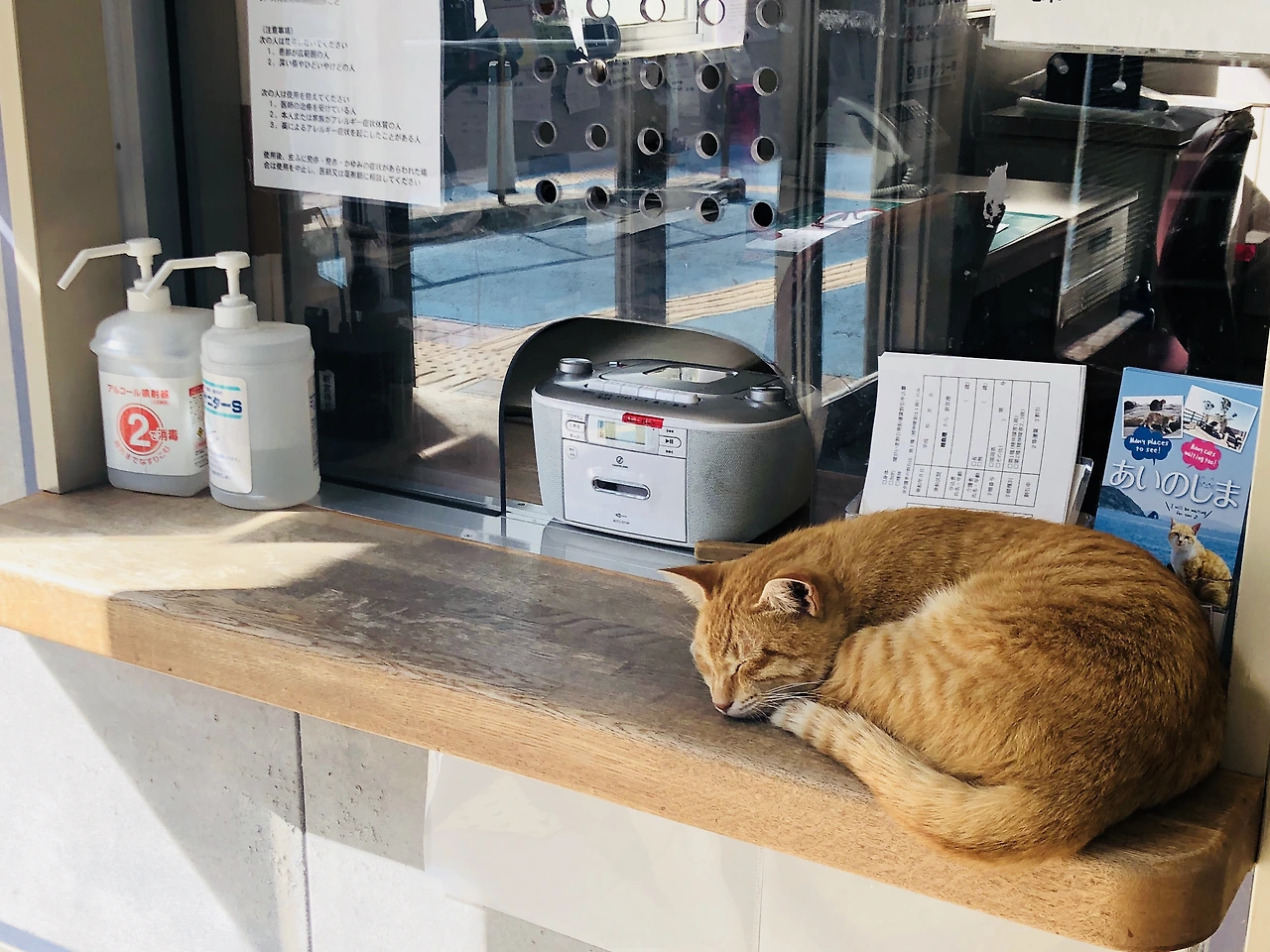 IMG_9905 (편집됨).JPG