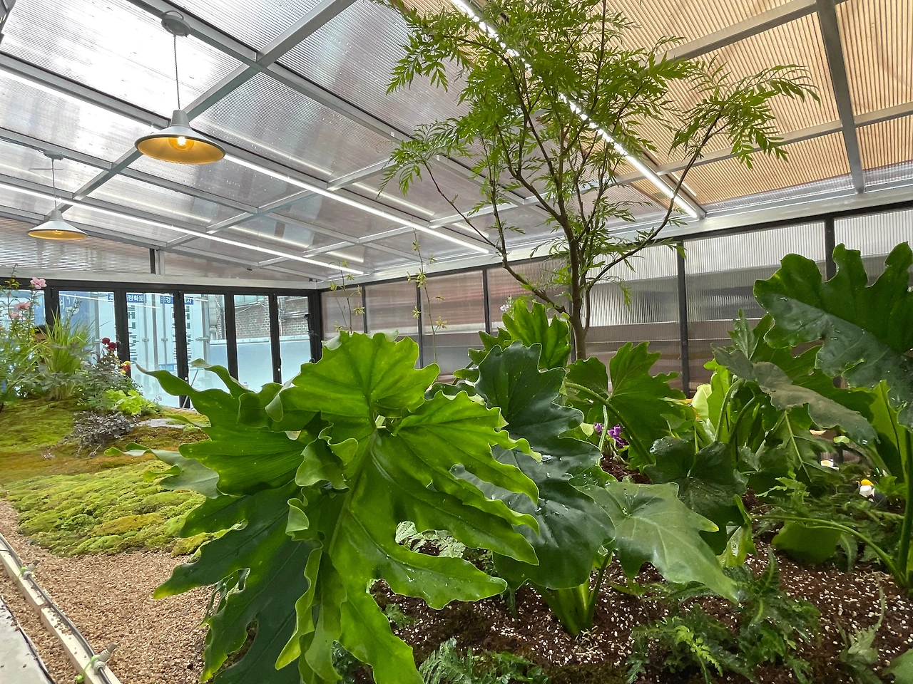 KakaoTalk_Photo_2024-08-05-13-03-33 025.jpeg