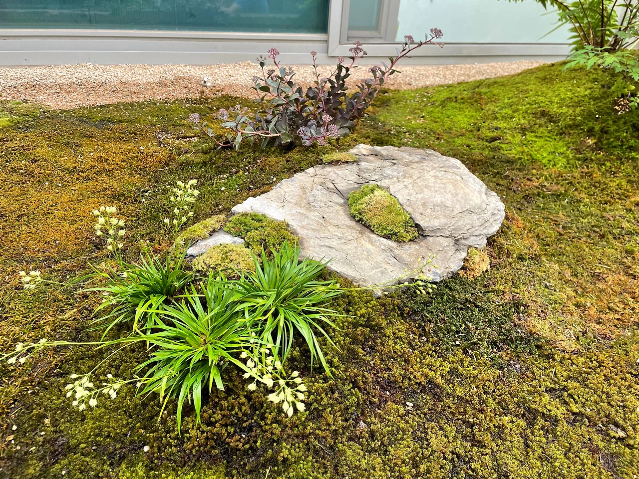 KakaoTalk_Photo_2024-08-05-13-03-17 008.jpeg