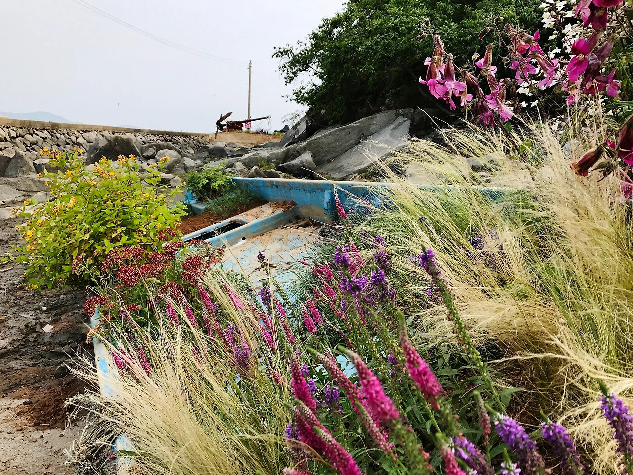 분오항꽃배 2 (2).JPG