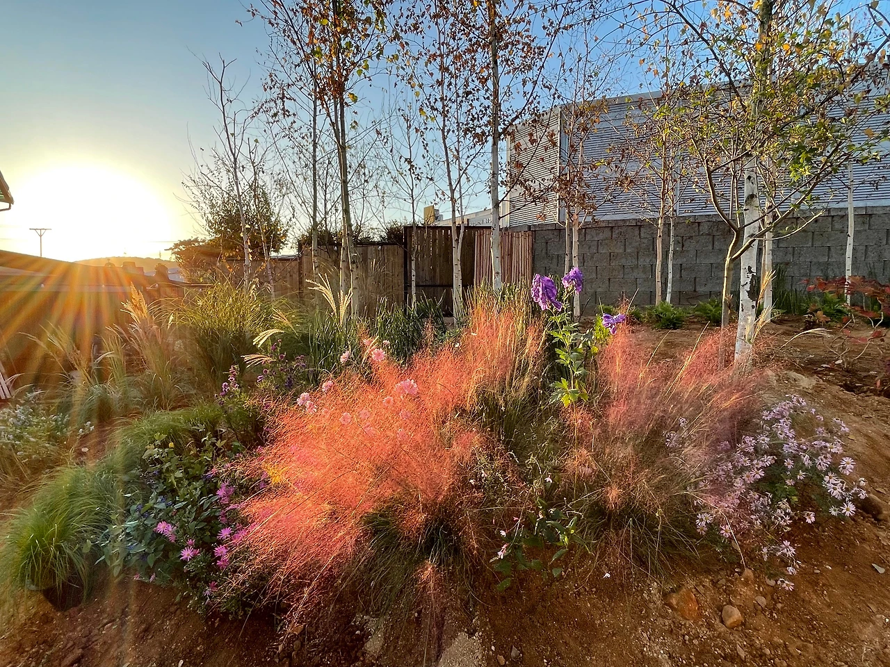 KakaoTalk_Photo_2023-10-21-13-13-26 001.jpeg