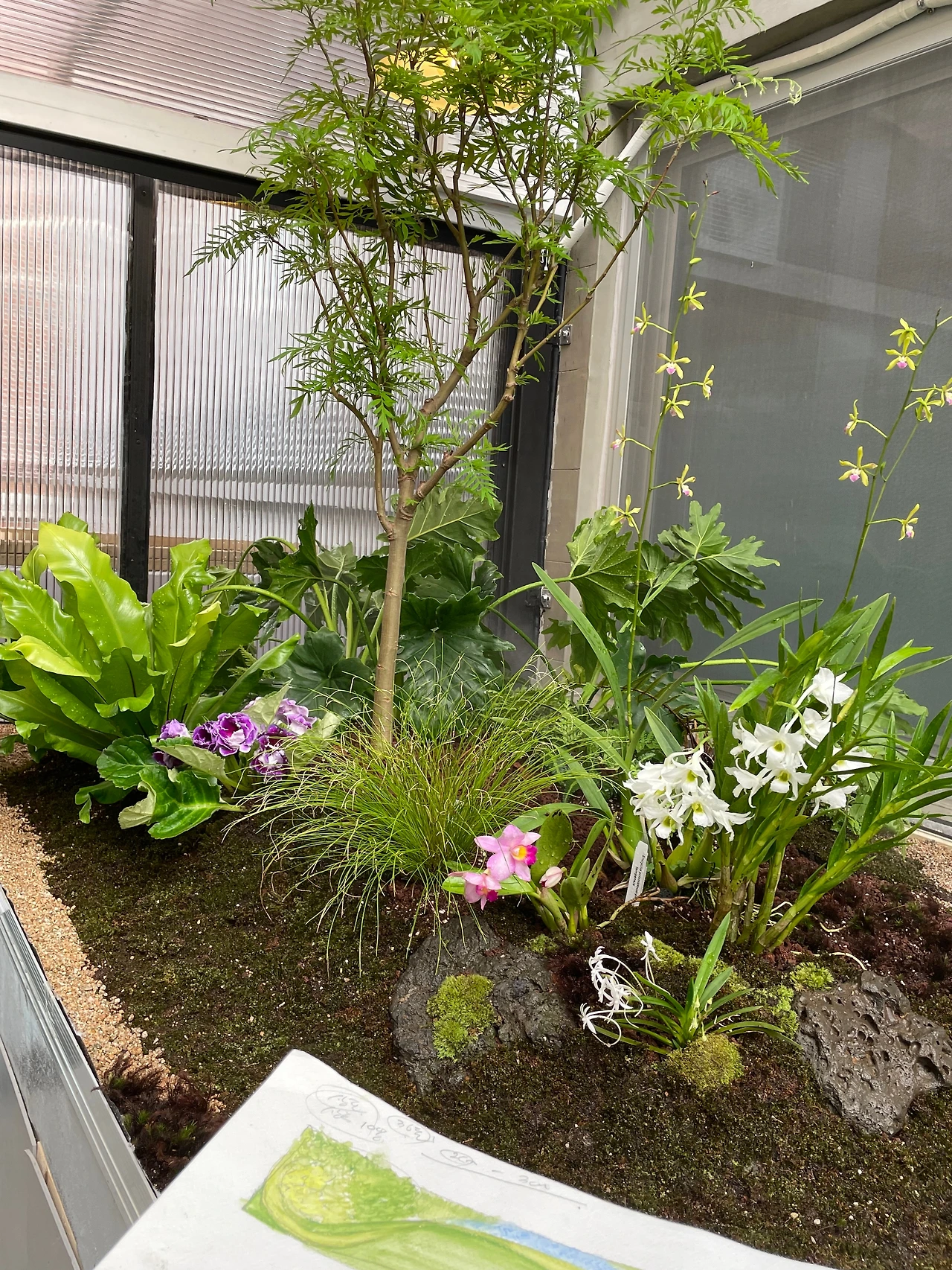 KakaoTalk_Photo_2024-08-05-13-02-24 012.jpeg