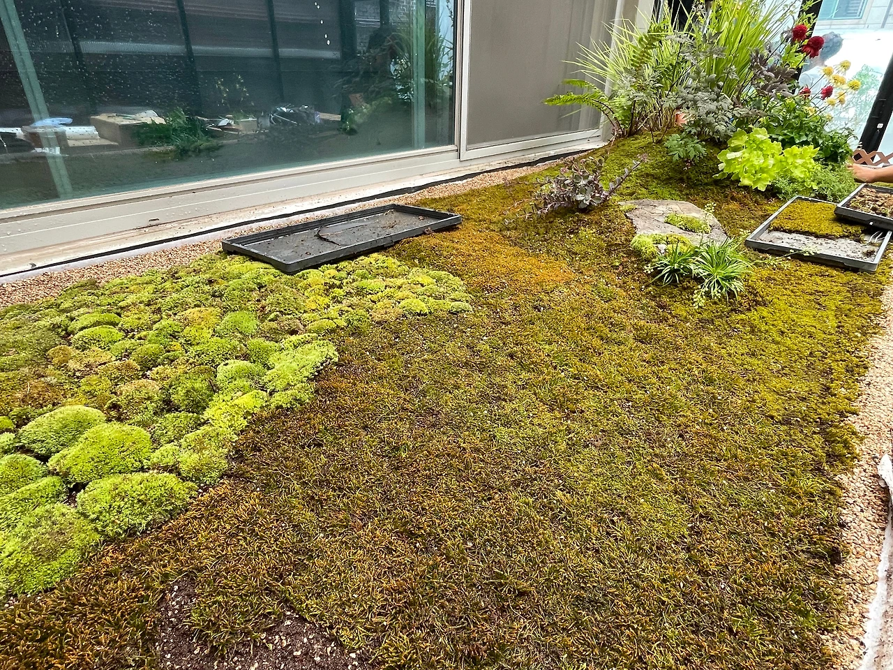 KakaoTalk_Photo_2024-08-05-13-02-32 021.jpeg