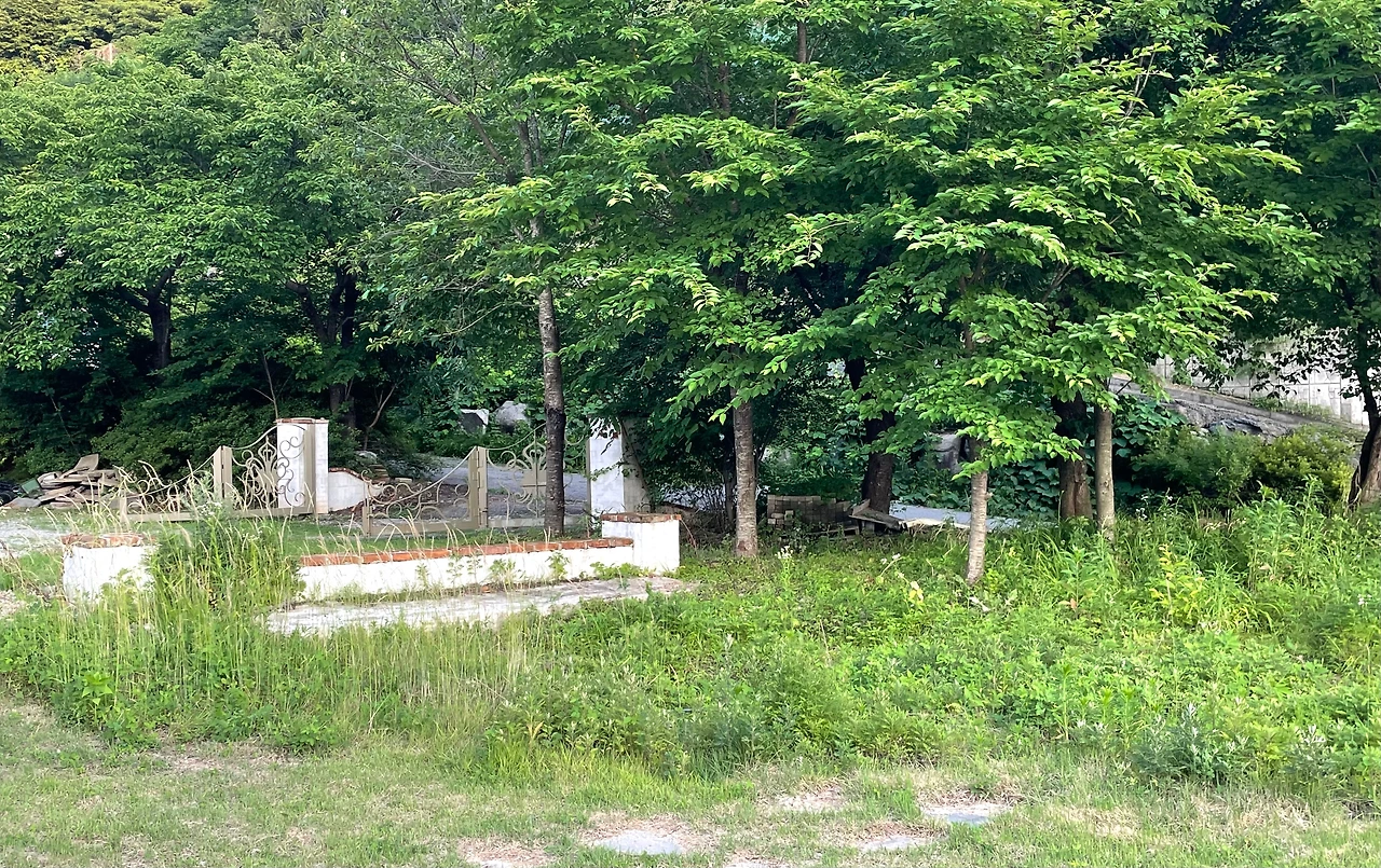 KakaoTalk_Photo_2025-06-22-19-42-27 008.jpeg