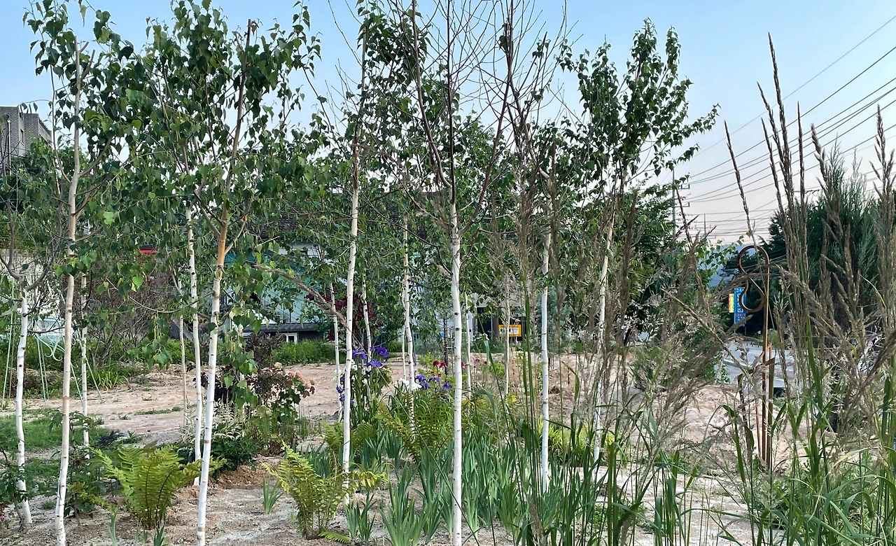 KakaoTalk_Photo_2025-06-22-19-40-53 002.jpeg