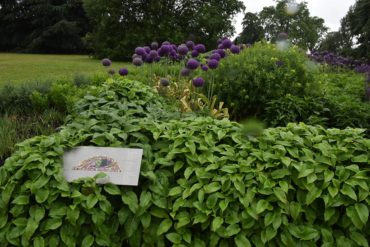 _DSC2425 - 복사본.JPG