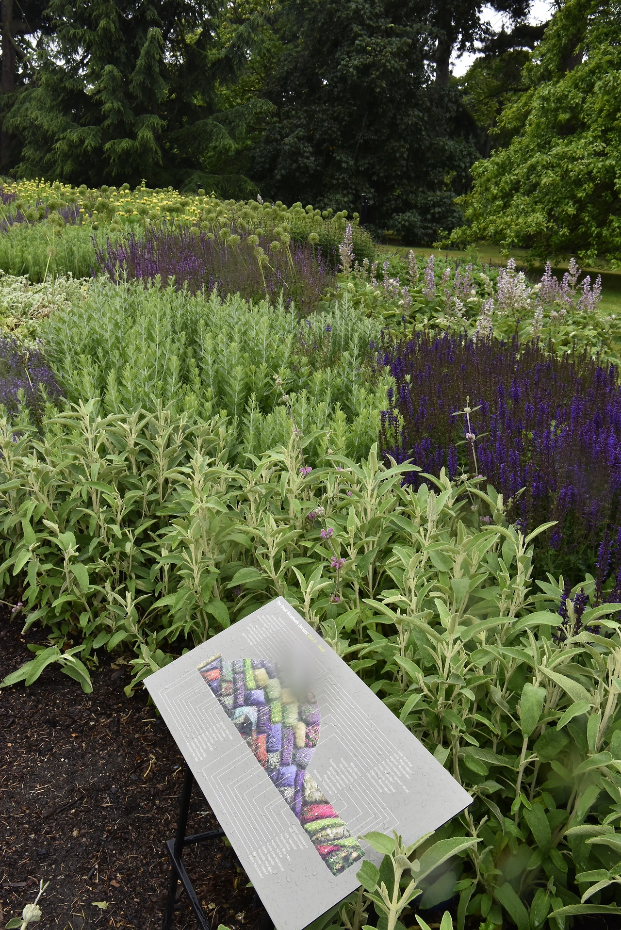 _DSC2415 - 복사본.JPG