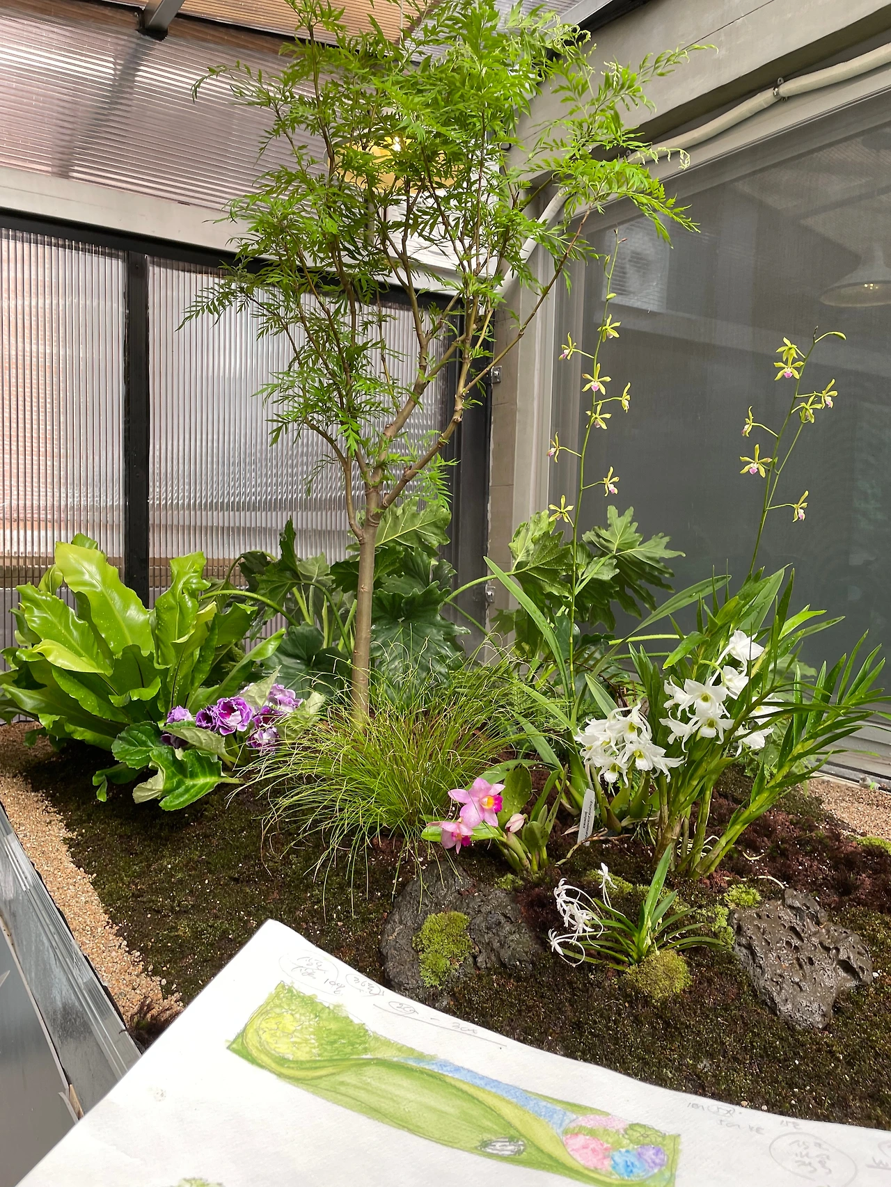 KakaoTalk_Photo_2024-08-05-13-02-21 008.jpeg