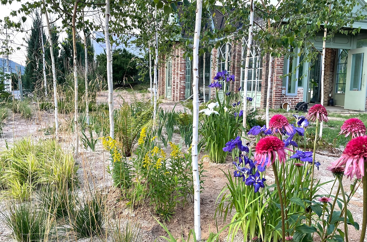 KakaoTalk_Photo_2025-06-22-19-41-02 006.jpeg