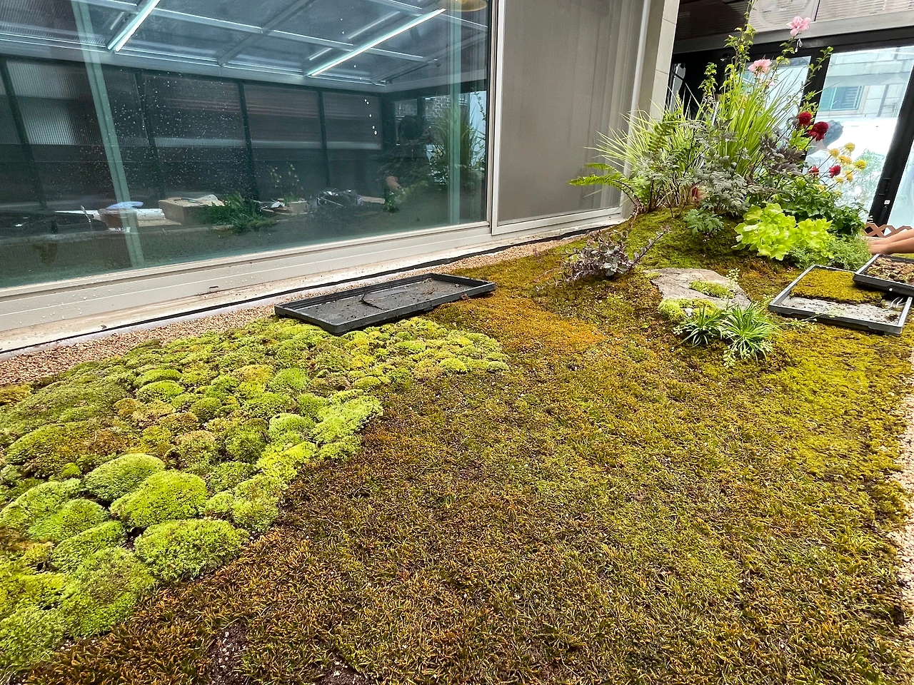 KakaoTalk_Photo_2024-08-05-13-02-29 016.jpeg